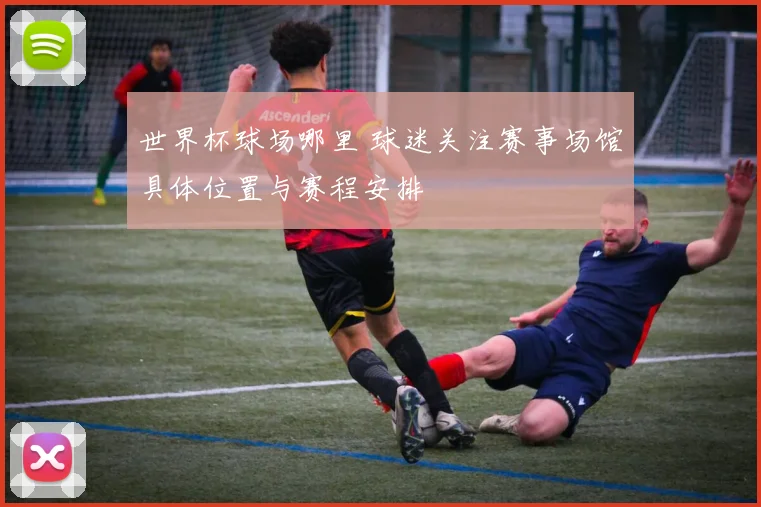 世界杯球场哪里 球迷关注赛事场馆具体位置与赛程安排