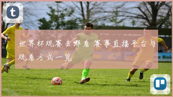 世界杯观赛去哪看 赛事直播平台与观看方式一览