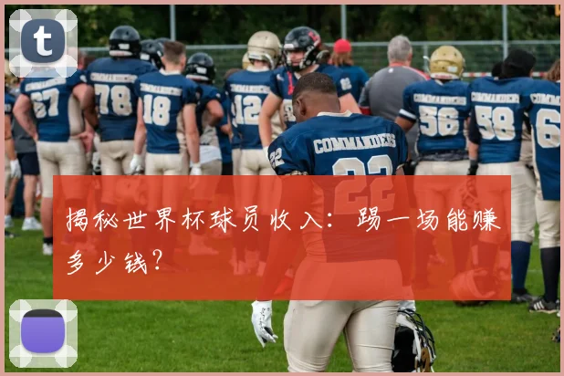 揭秘世界杯球员收入：踢一场能赚多少钱？