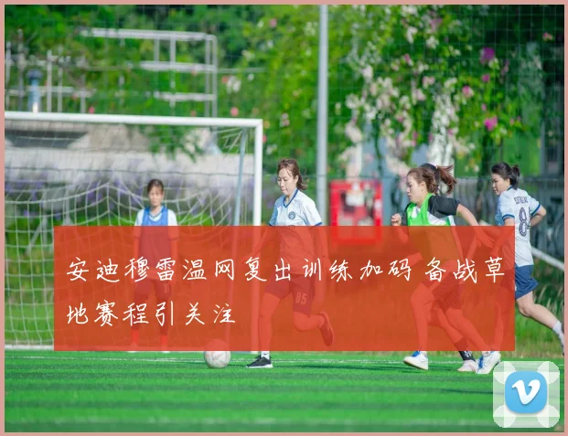 安迪穆雷温网复出训练加码 备战草地赛程引关注