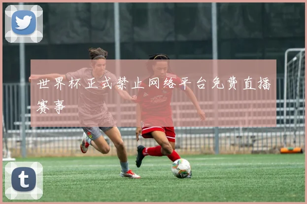 世界杯正式禁止网络平台免费直播赛事